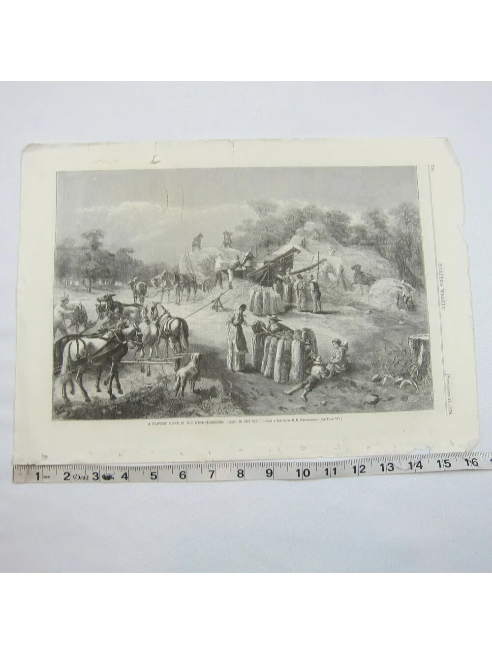 Antique 1878 Print A Harvest Scene in the West O.D. Steinberger Harper’s Weekly